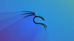 Installing Kali Linux on a Hetzner Server